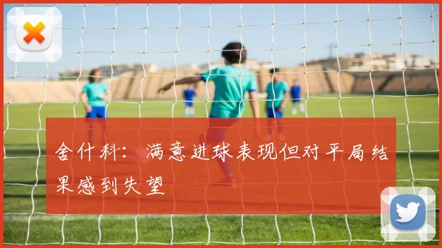 舍什科：满意进球表现但对平局结果感到失望