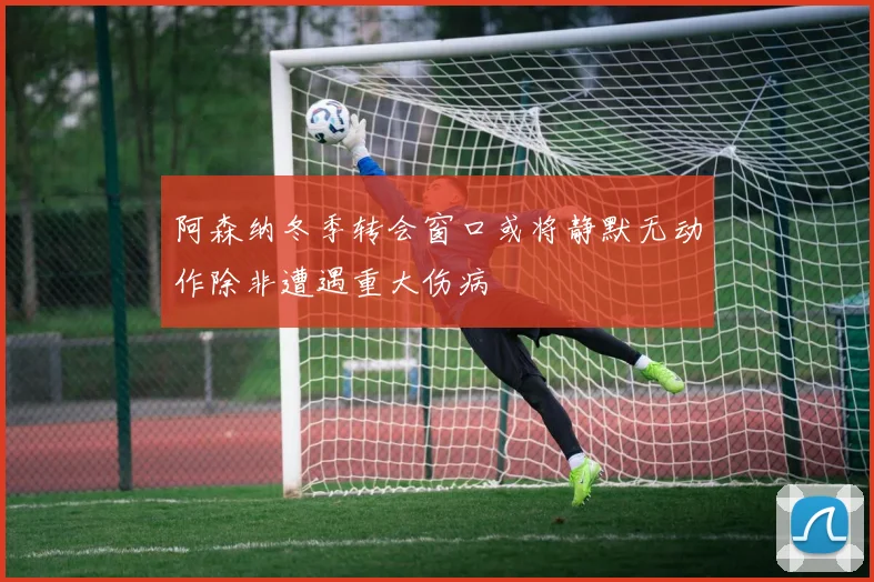 阿森纳冬季转会窗口或将静默无动作除非遭遇重大伤病