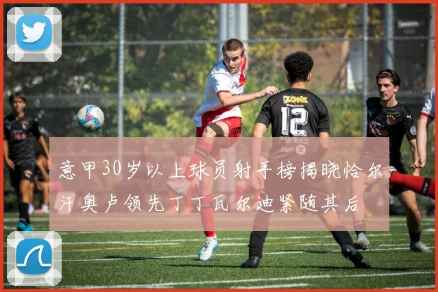 意甲30岁以上球员射手榜揭晓恰尔汗奥卢领先丁丁瓦尔迪紧随其后