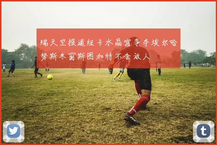 瑞天空报道纽卡水晶宫争夺埃尔哈努斯冬窗斯图加特不会放人